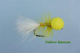 Yellow Dancer Booby